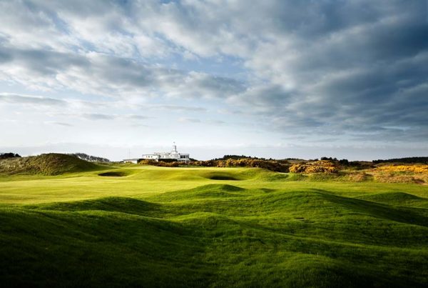 portfolio_royalbirkdale